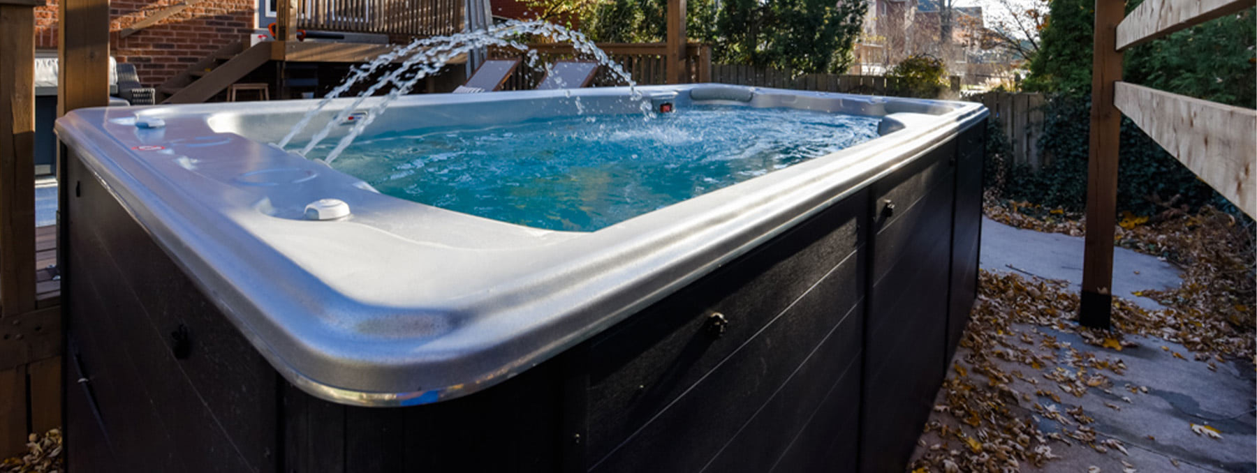 Swim Spas